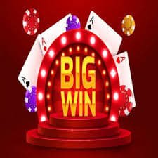 488 bet com