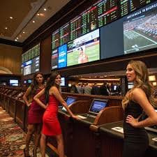 488 bet com