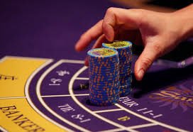 488 bet com